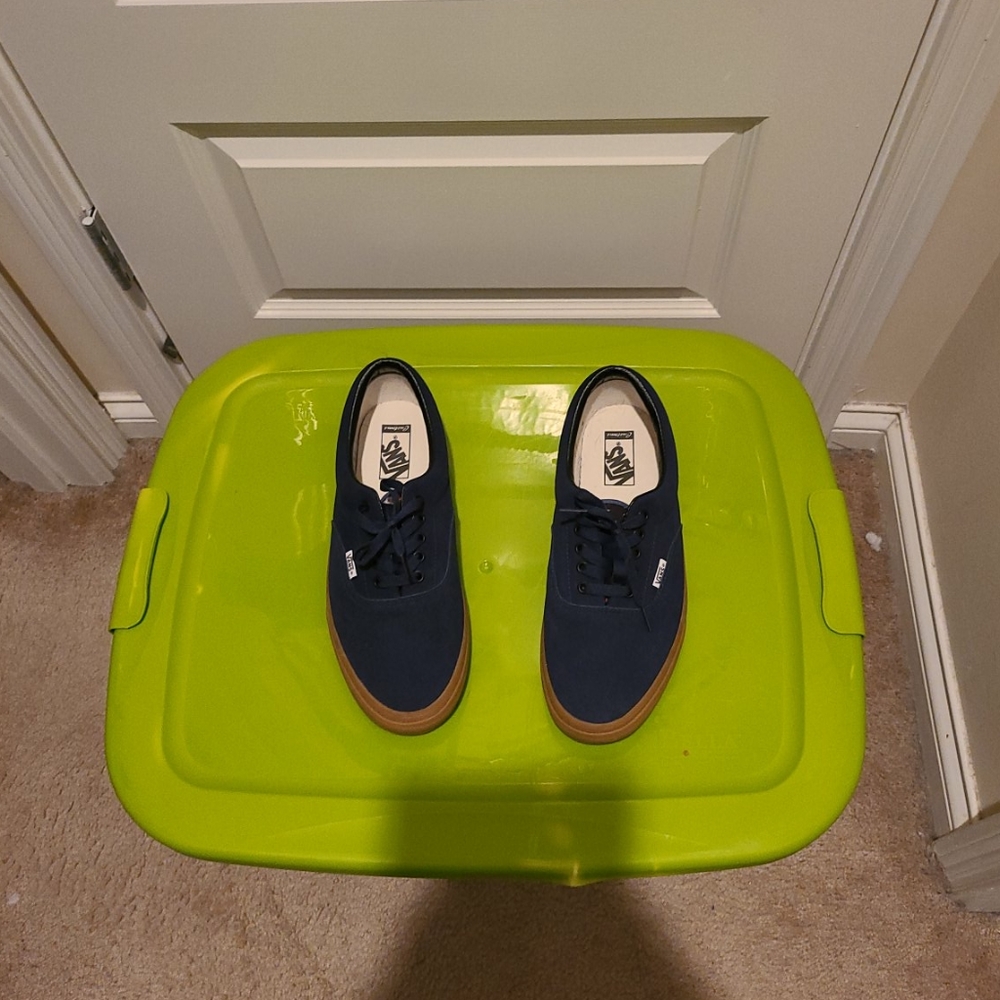 Vans era customs size 11